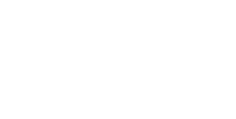 DMUnion